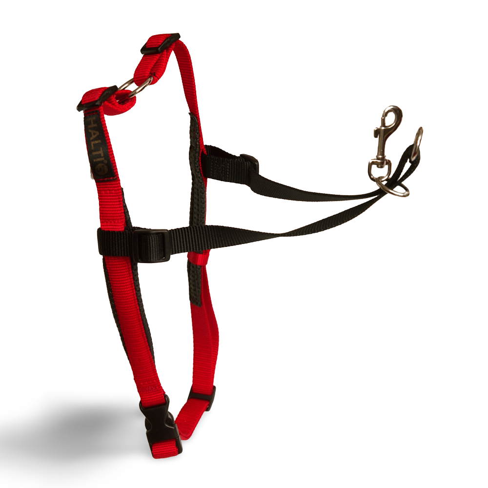 Buy Company Of Animals Halti Harness Online | Low Prices, Free Shipping