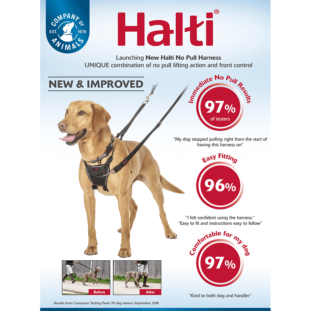 halti harness fitting