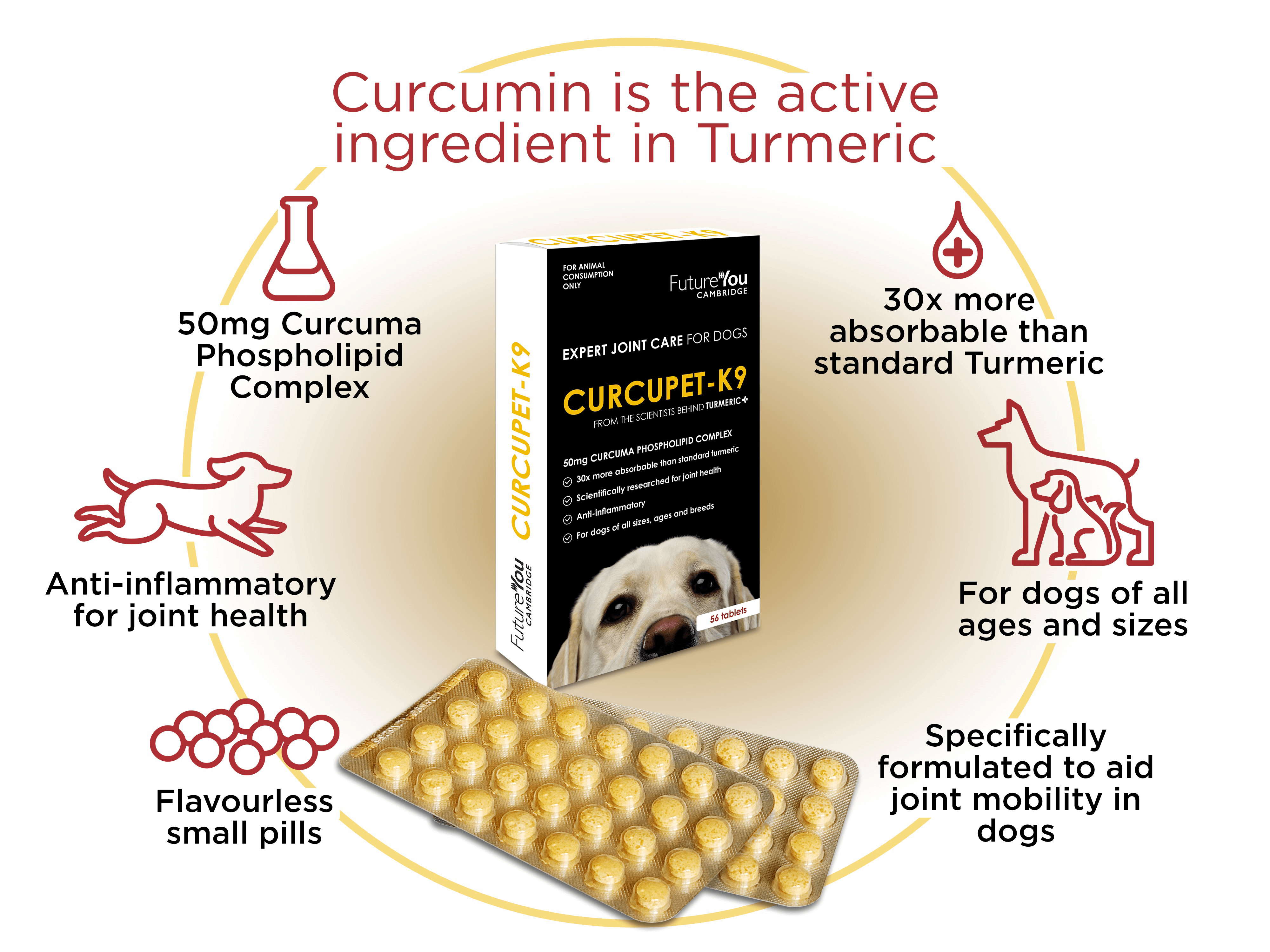 Buy Curcupet K9 Joint Care Curcumin Turmeric Dog Supplement Online Better Prices At Pet Circle