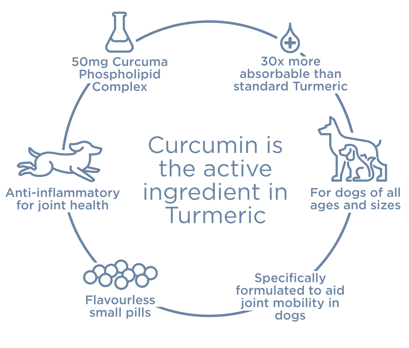 Buy Curcupet K9 Joint Care Curcumin Turmeric Dog Supplement Online