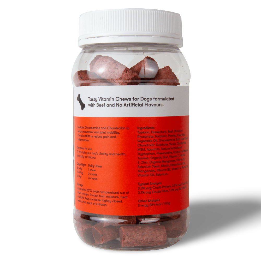 Unleashing WagWorthy Mobility A Guide to Keeping Your Dog's Joints