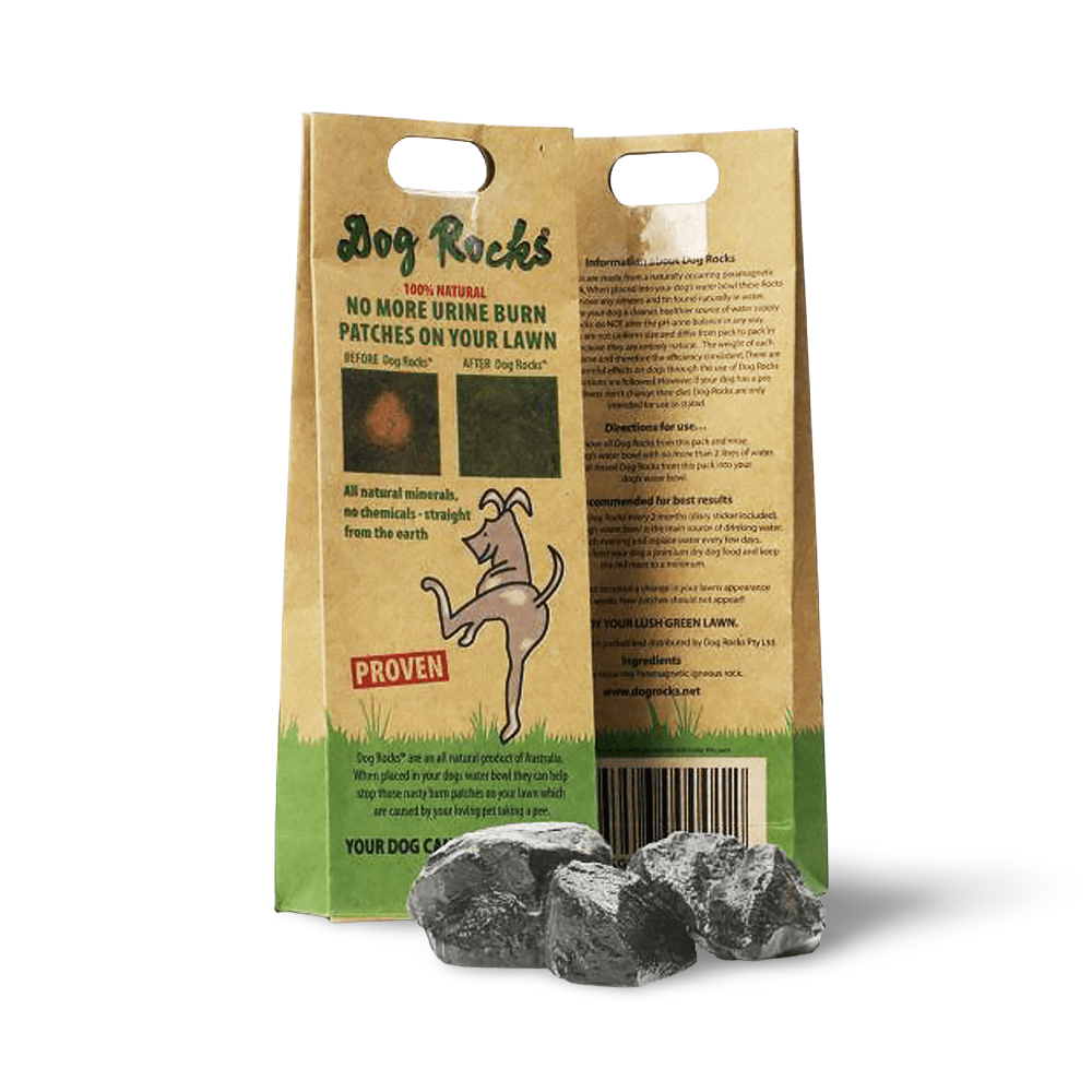Buy Dog Rocks Online Better Prices At Pet Circle