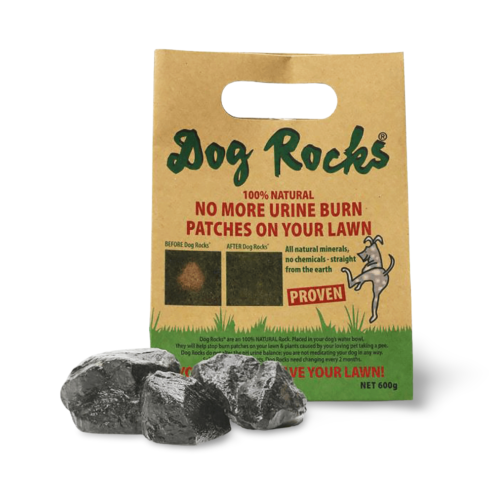 Buy Dog Rocks Online Low Prices, Free Shipping