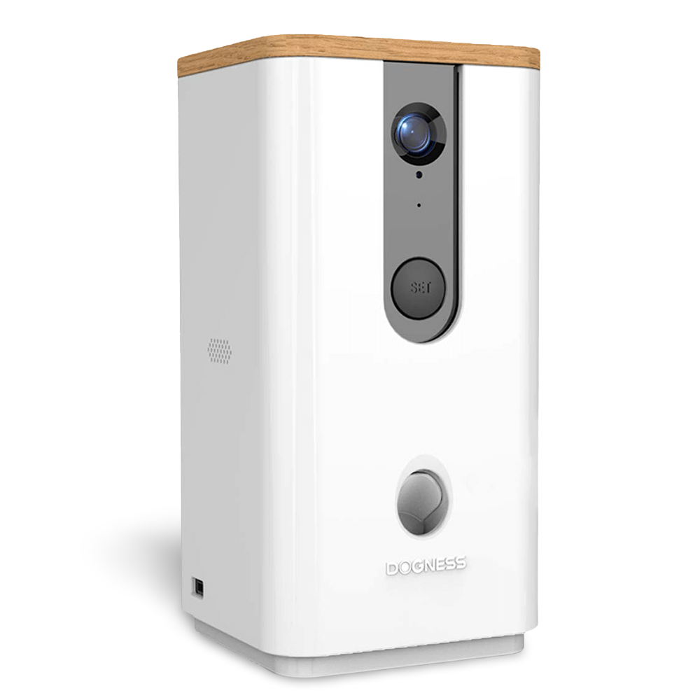 dog swallowed small chicken bone