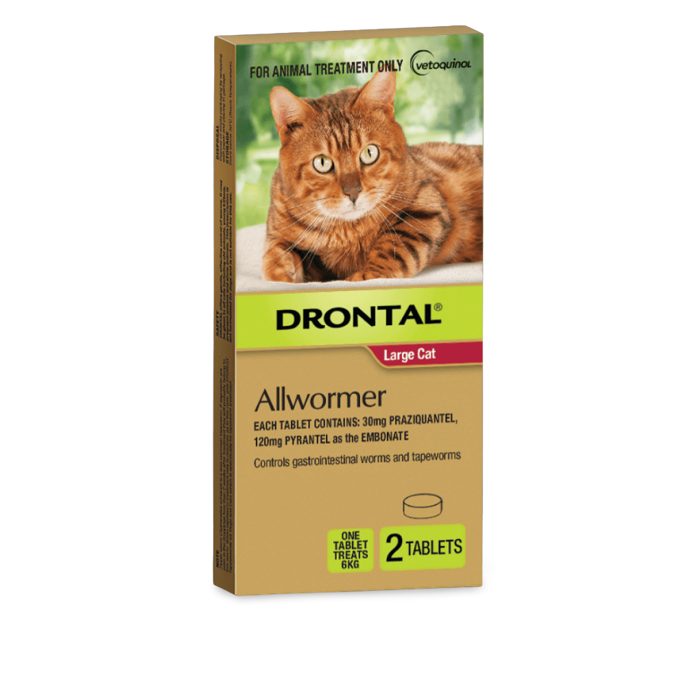 Buy Drontal Allwormer For Large Cats Online Low Prices, Free Shipping