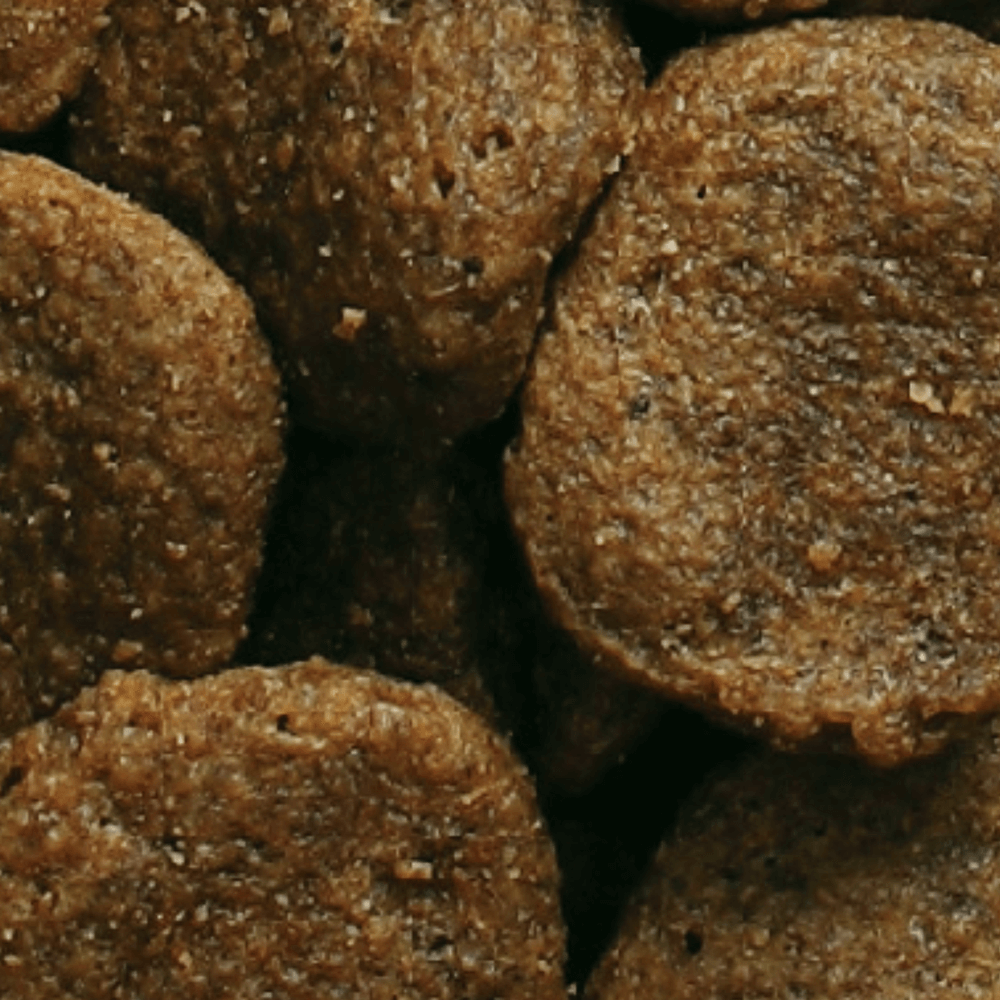 earthborn large breed