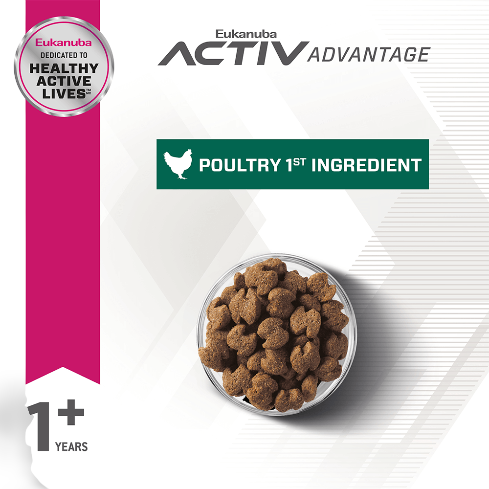 Buy Eukanuba Adult Fit Body Weight Control Large Breed Dry Dog Food