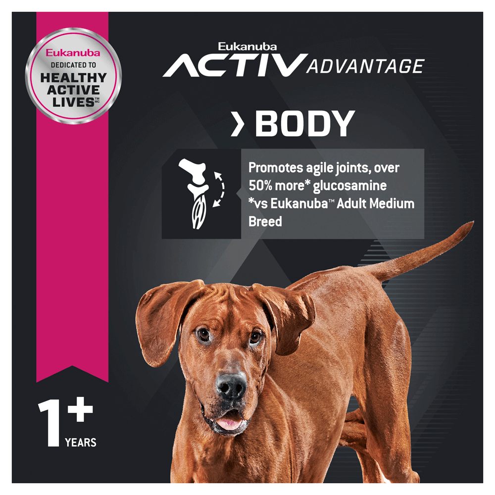 eukanuba adult large breed chicken