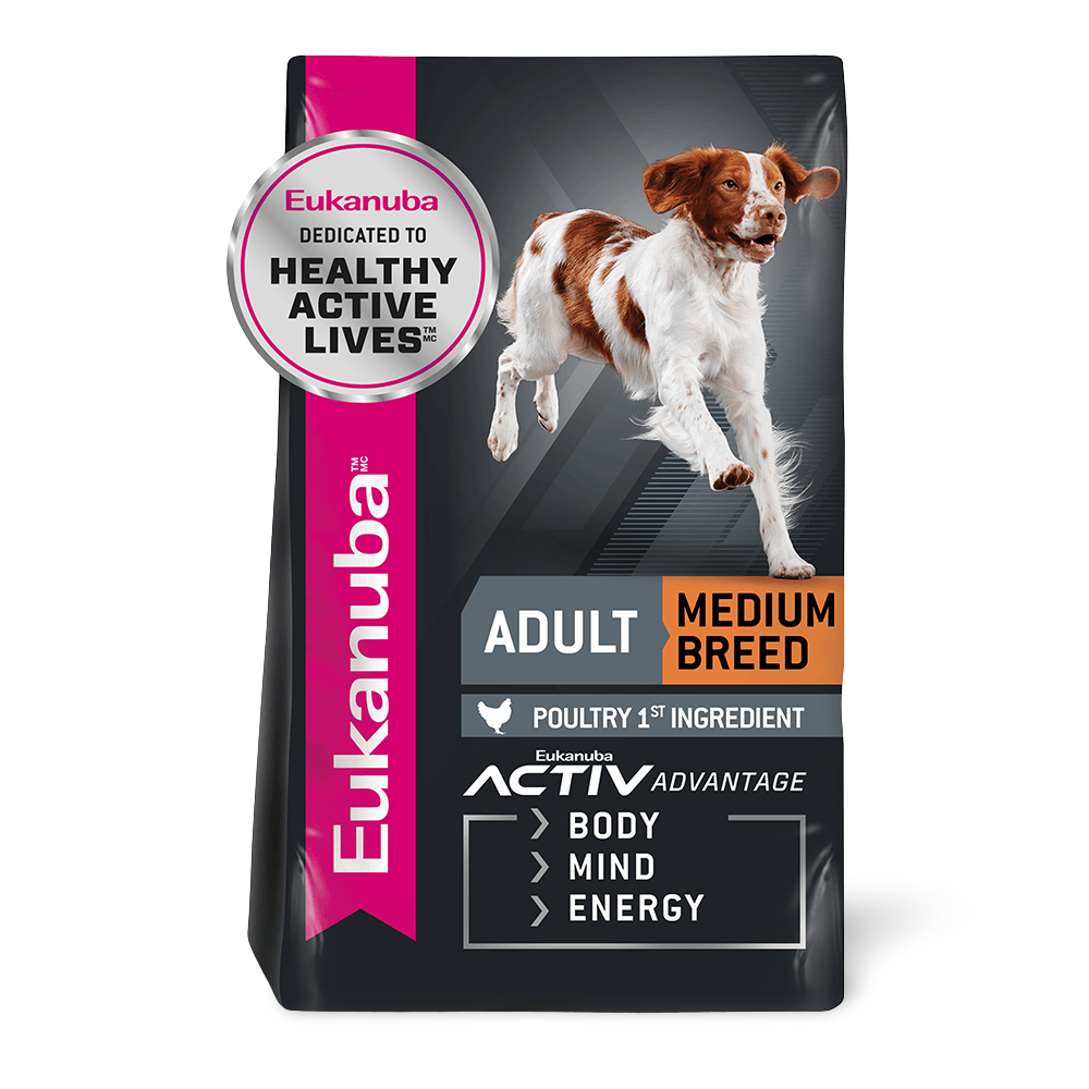 eukanuba medium breed