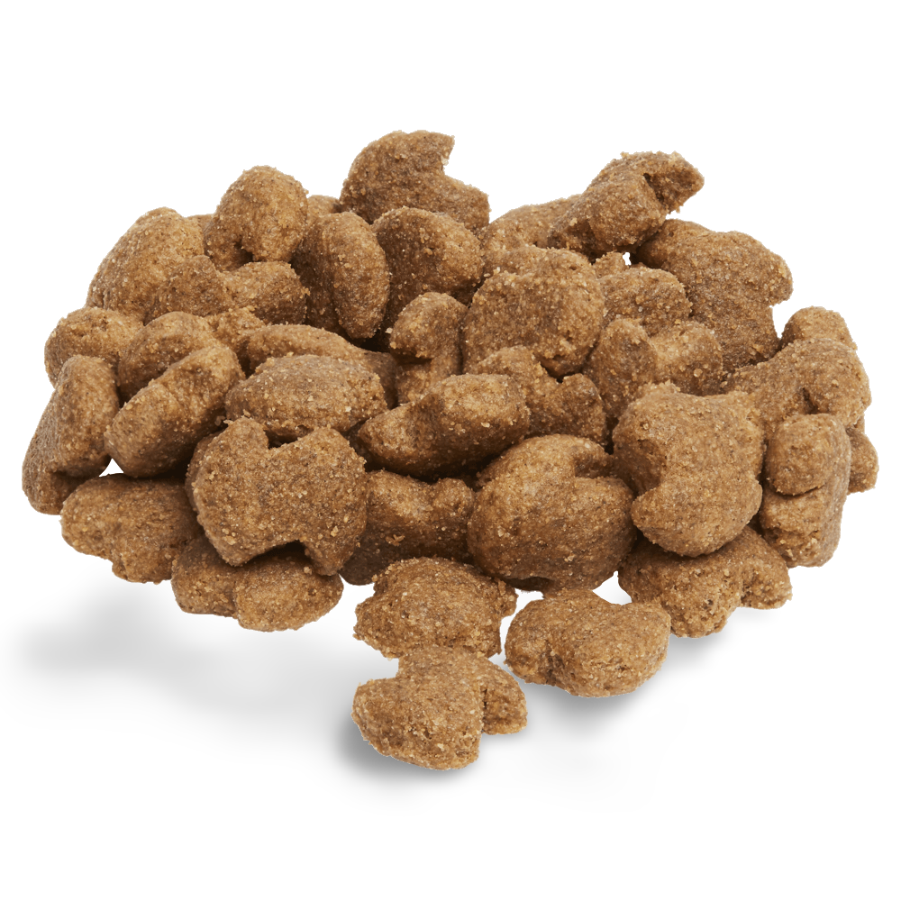 Eukanuba German Shepherd Dry Dog Food Pet Circle