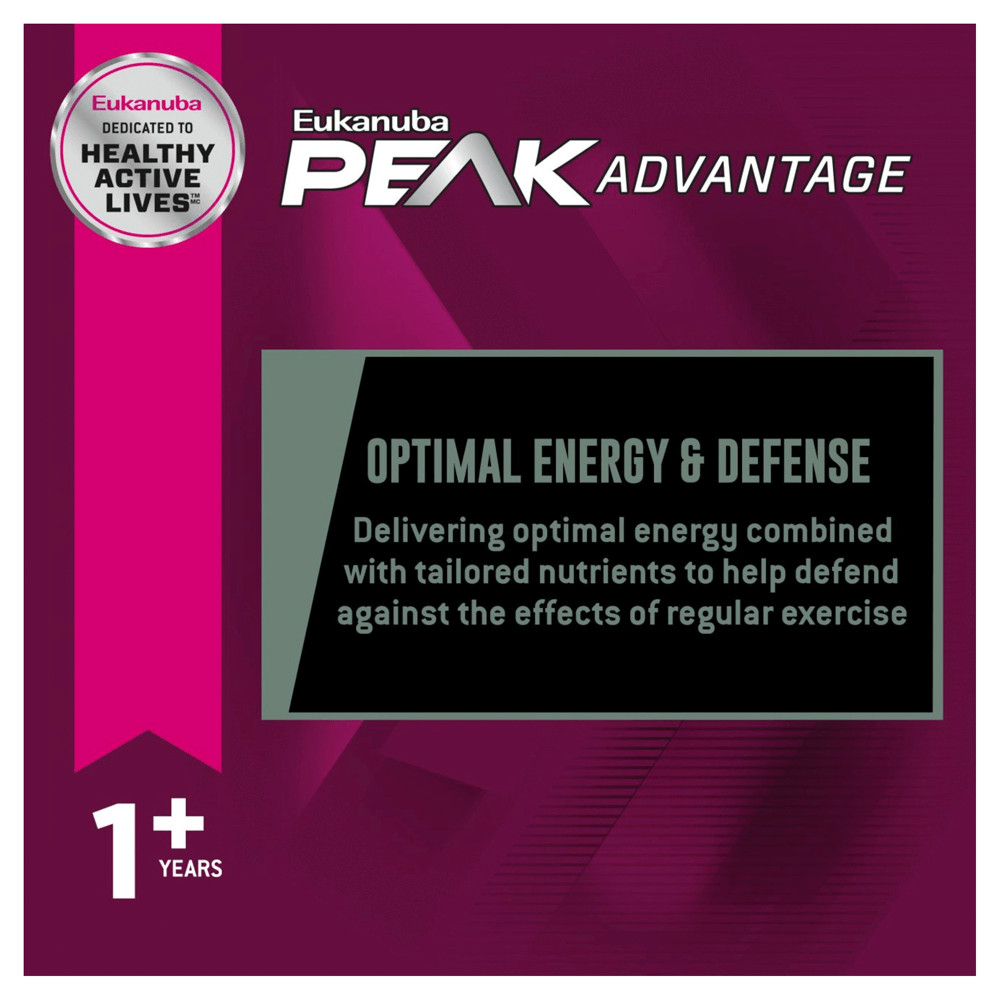 eukanuba premium performance