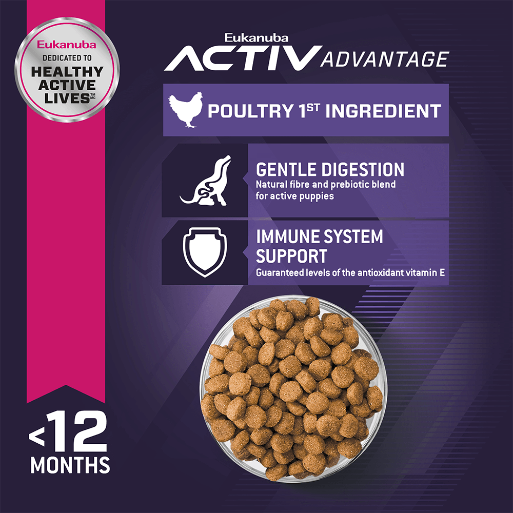Buy Eukanuba Puppy Medium Breed Dry Dog Food Online Better Prices At
