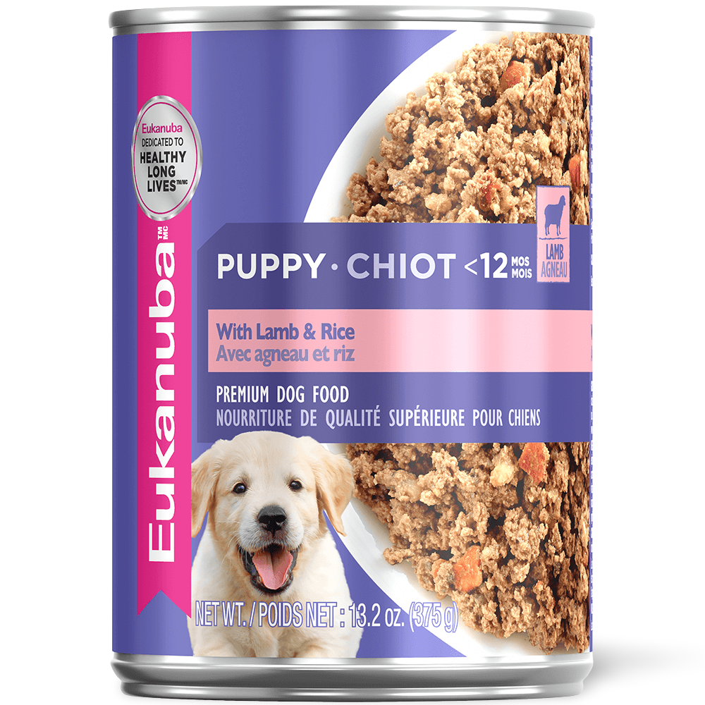 1950's rocking horse on springs