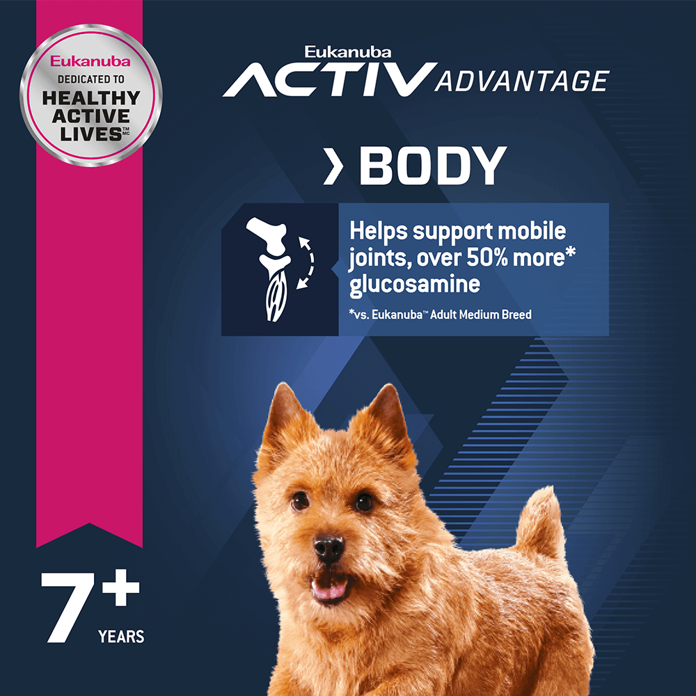 blue mountain small breed dog food