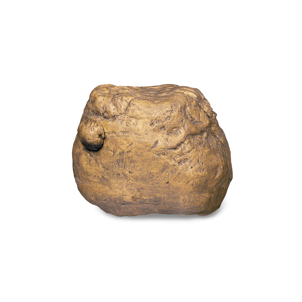 Exo Terra Cricket Feeder Pet Circle