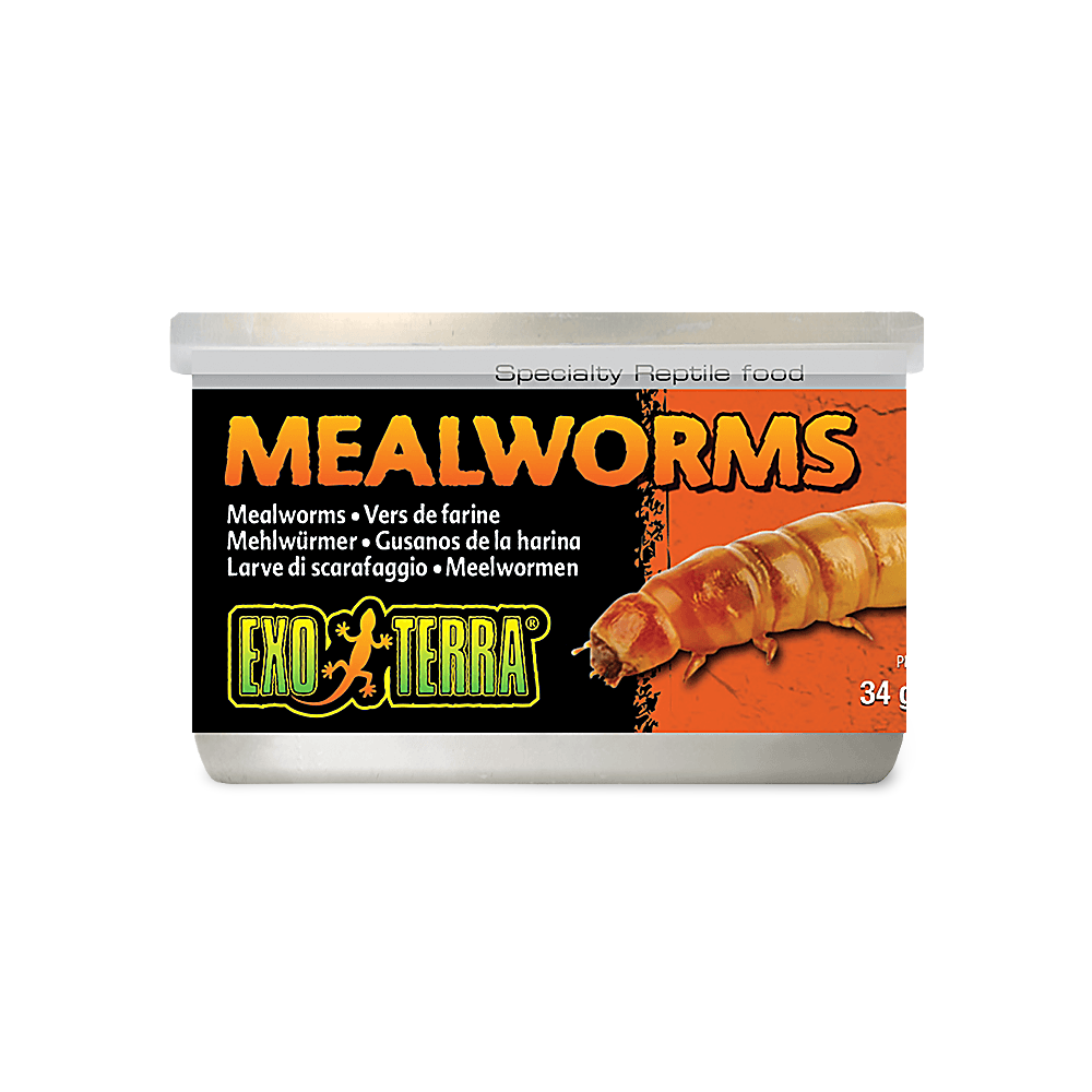 Buy Exo Terra Mealworms Online Low Prices, Free Shipping