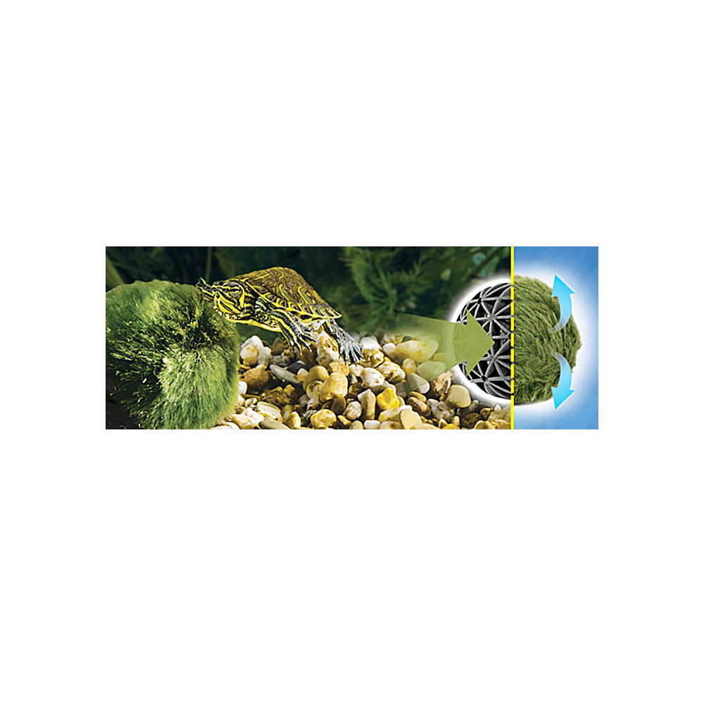 Buy Exo Terra Moss Ball Online Better Prices At Pet Circle