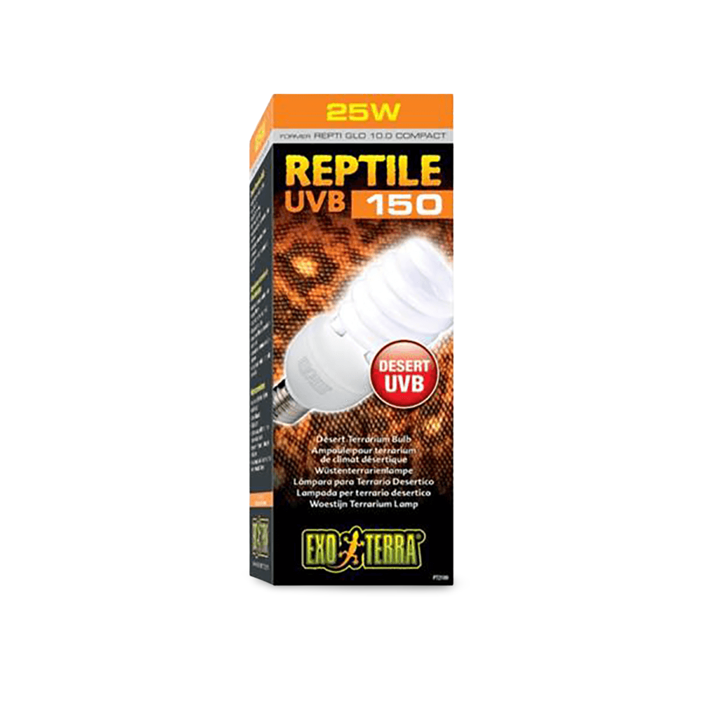 cat accessories ebay