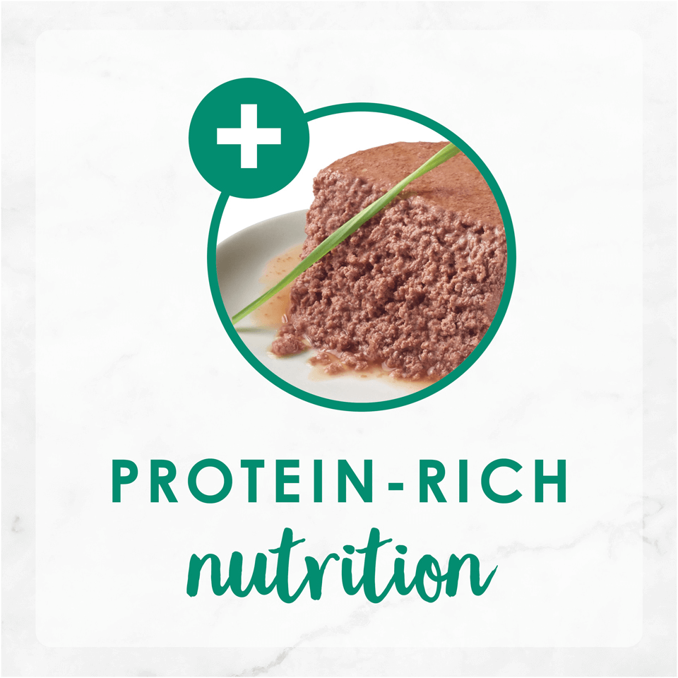 fancy feast cod sole and shrimp