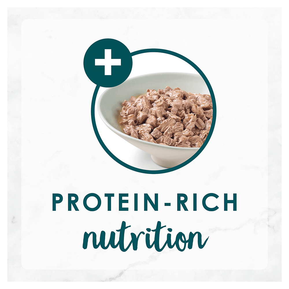 fancy feast grilled turkey