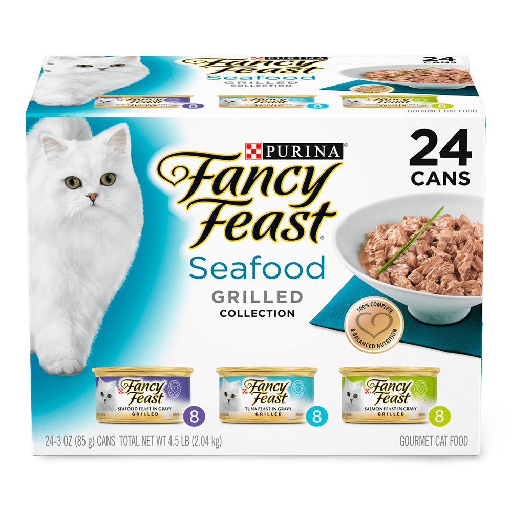 iris airtight food storage container & scoop combo