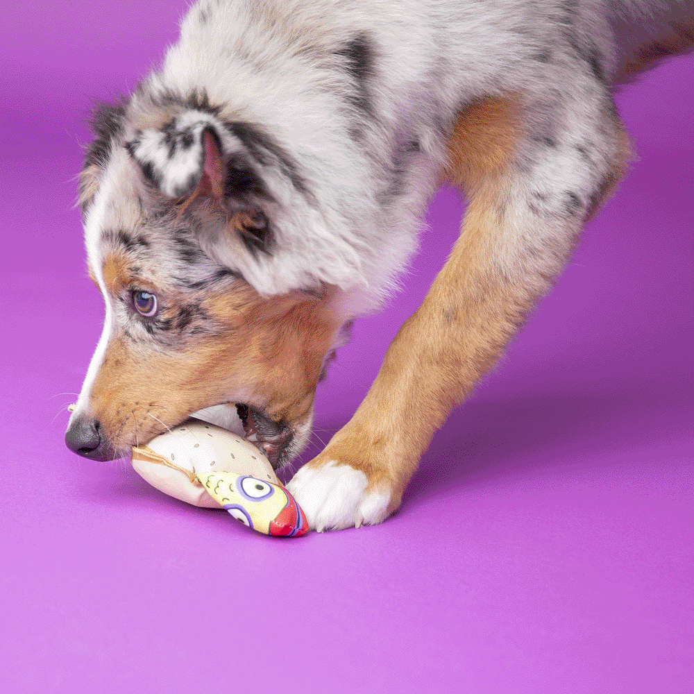 Buy Fat Cat Classic Mini Snacklers Dog Toy Online Better Prices At