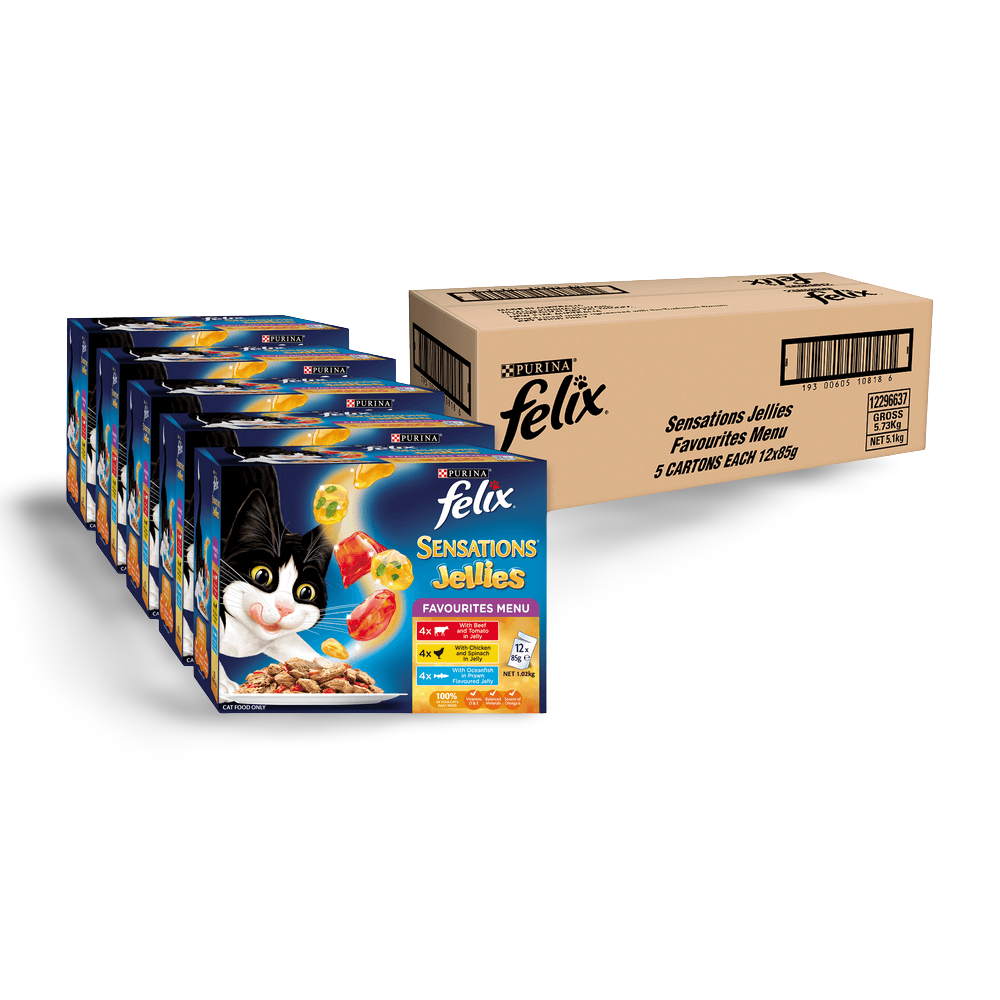 felix cat food kitten