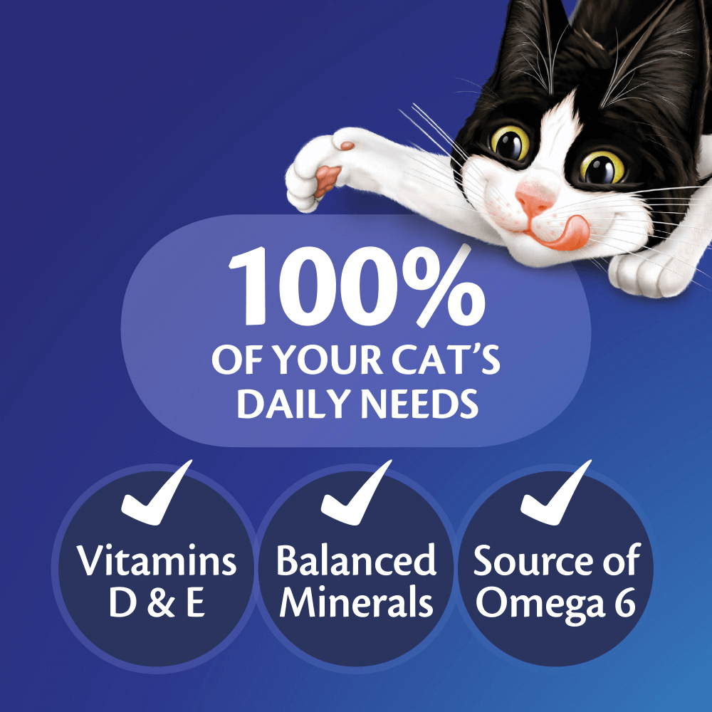 Buy Felix Wet Cat Food Adult Sensations Jellies Fishy Selection Pouches