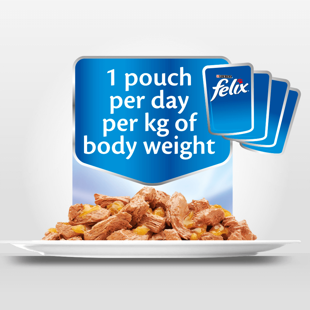 felix sensations fish