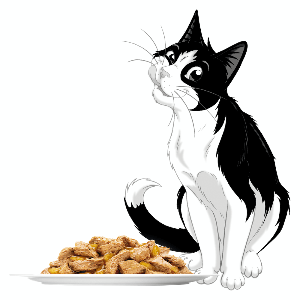 felix sensations fish