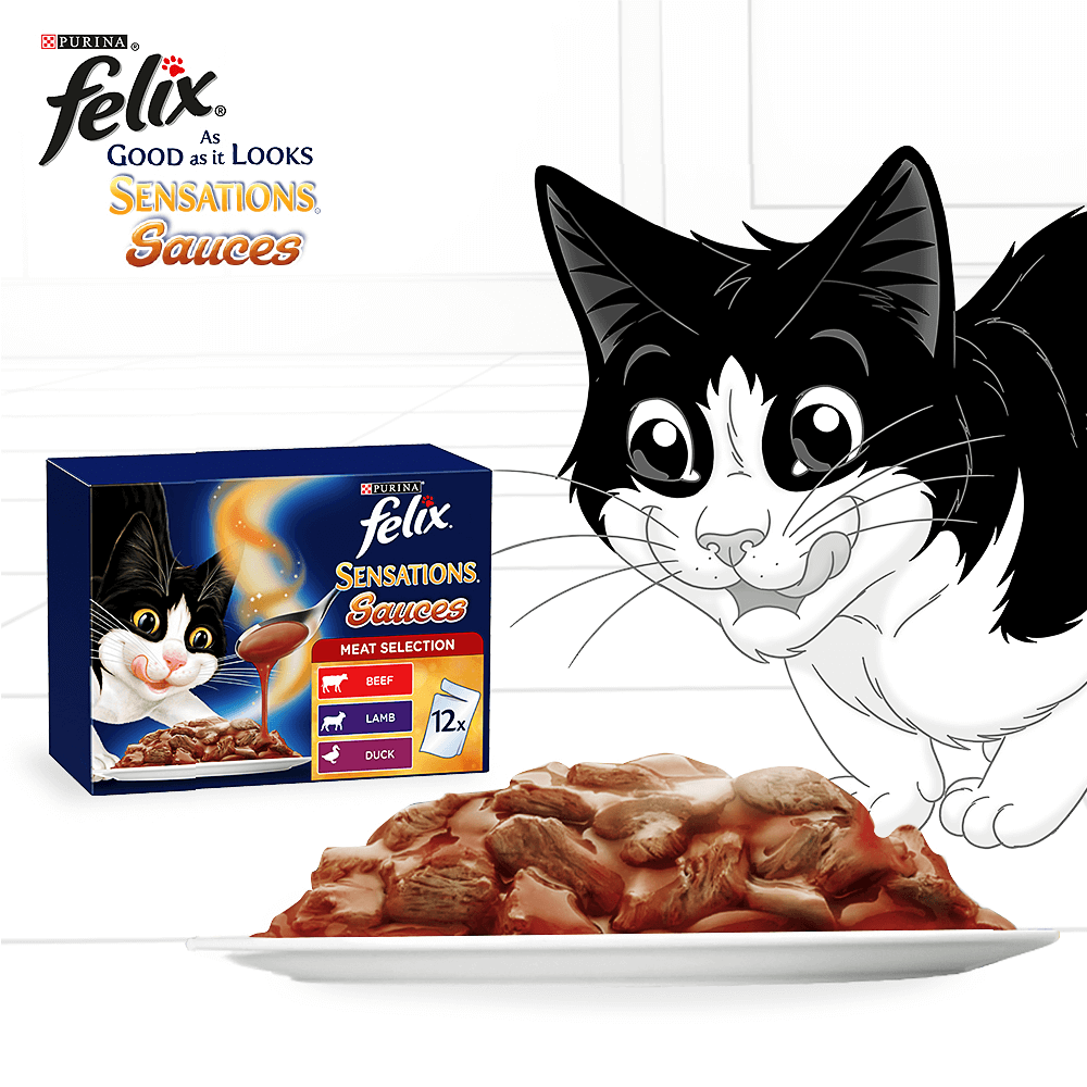 Buy Felix Wet Cat Food Adult Sensations Sauces Meat Selection Pouches