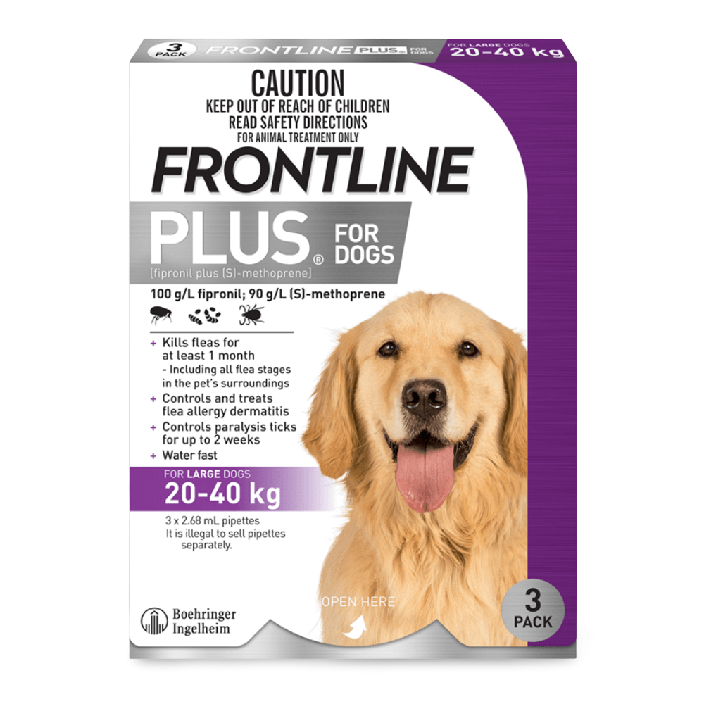 frontline spot on medium dog