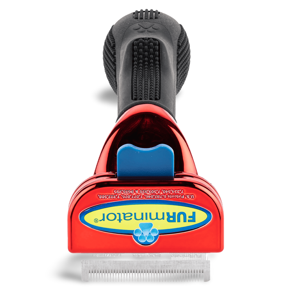 Curated visual reference: Fresh Look at Buy Furminator Short Hair Small Dog Deshedding Tool Metallic Red