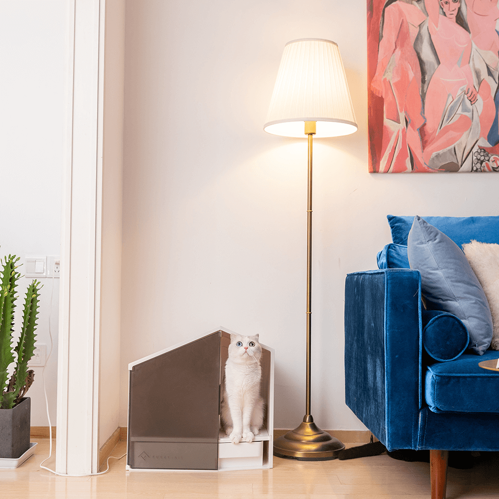 Buy Furrytail Semi Closed Glow House Cat Litter Box With Scoop Online Better Prices At Pet Circle