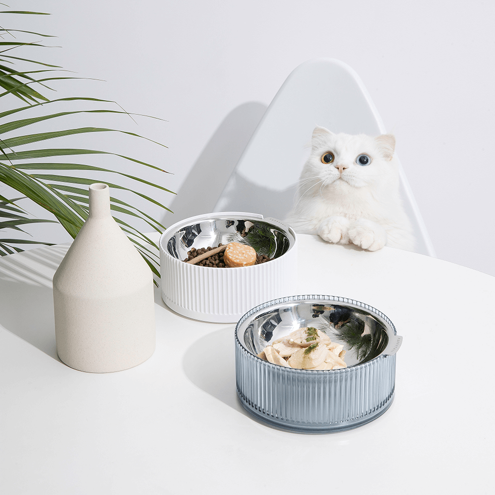 Buy Furrytail Stainless Steel Cat Bowl Blue Online Better Prices At