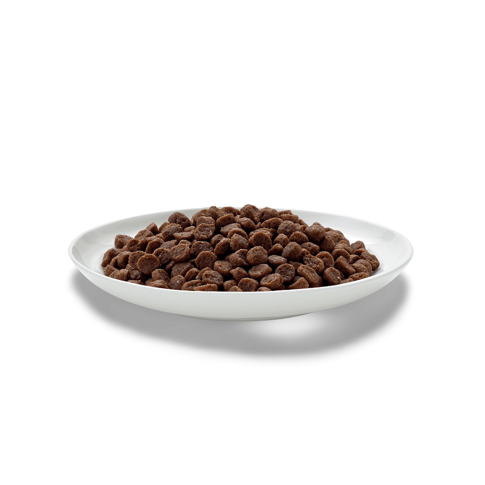 Buy Fussy Cat Grain Free Dry Kitten Food Chicken Online Better Prices