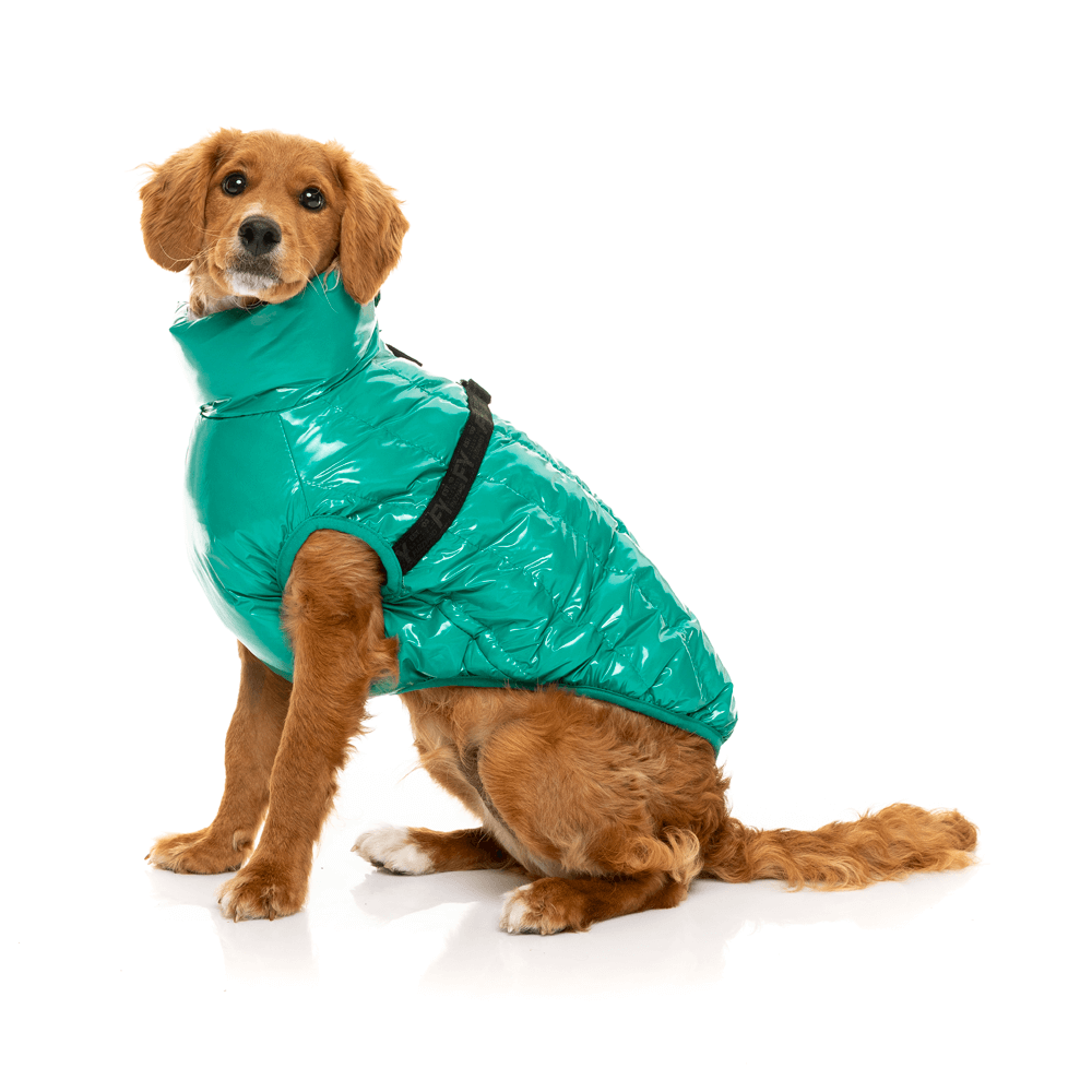 fuzzyard raincoat
