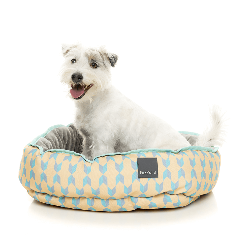 Buy Fuzzyard Dog Bed Reversible Chelsea 