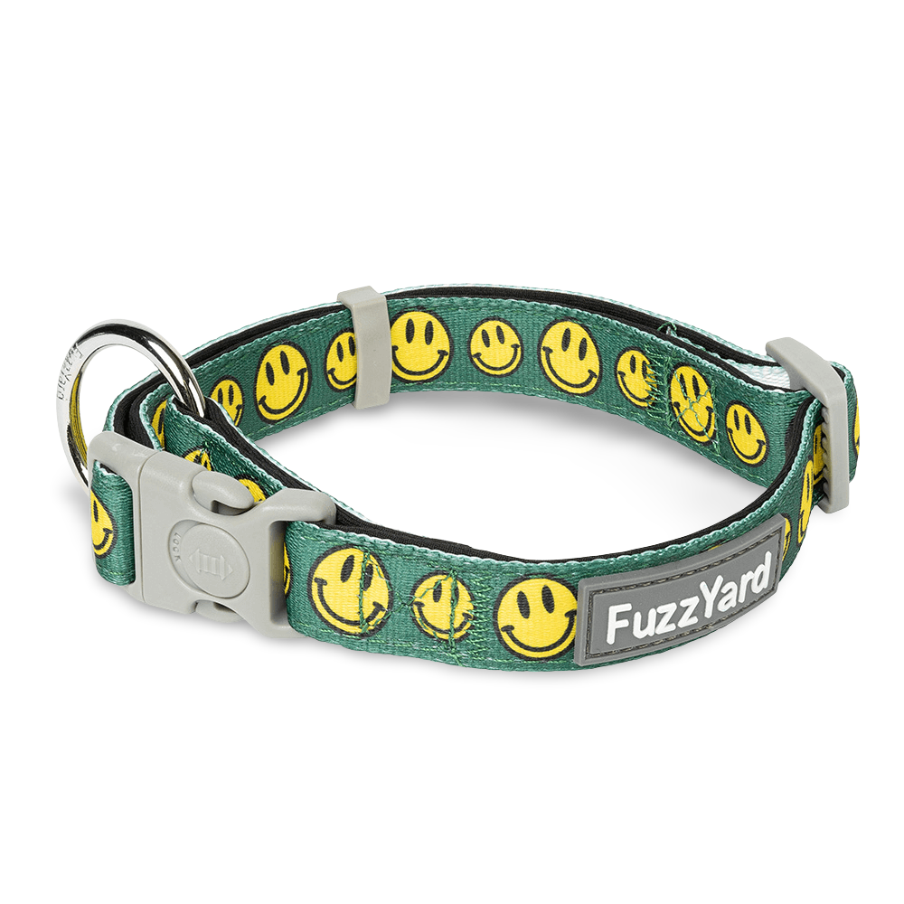 pet circle dog collars
