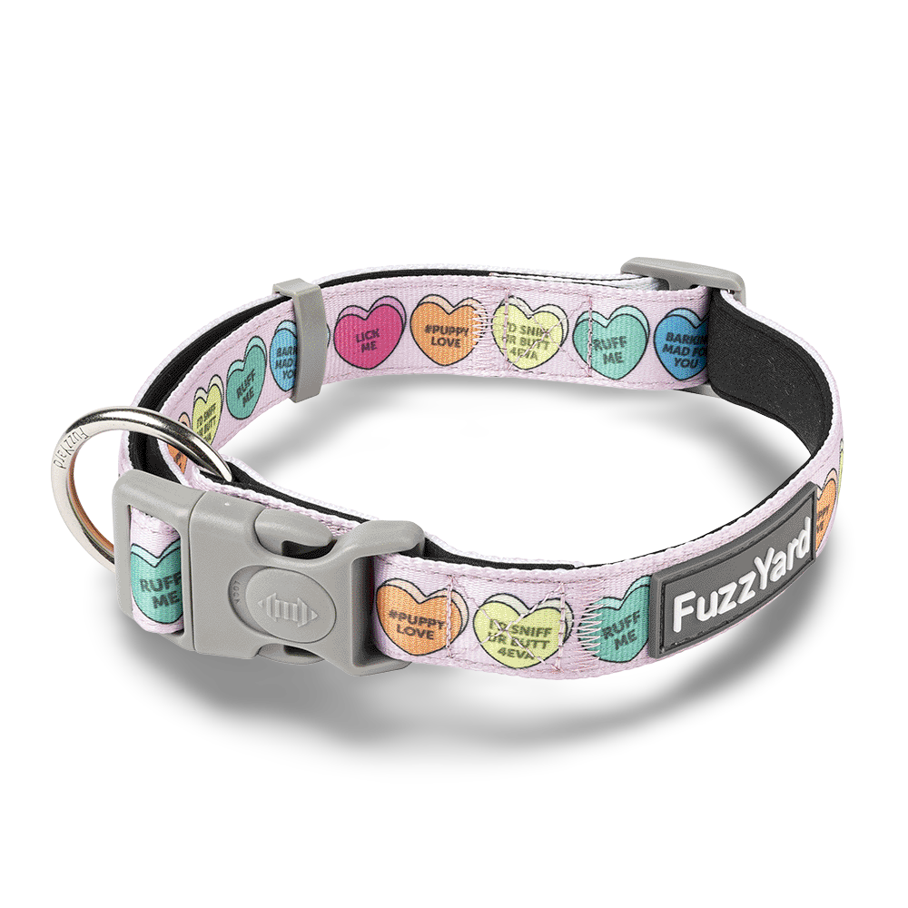 Buy Fuzzyard Dog Collar Candy Hearts Online Low Prices, Free Shipping