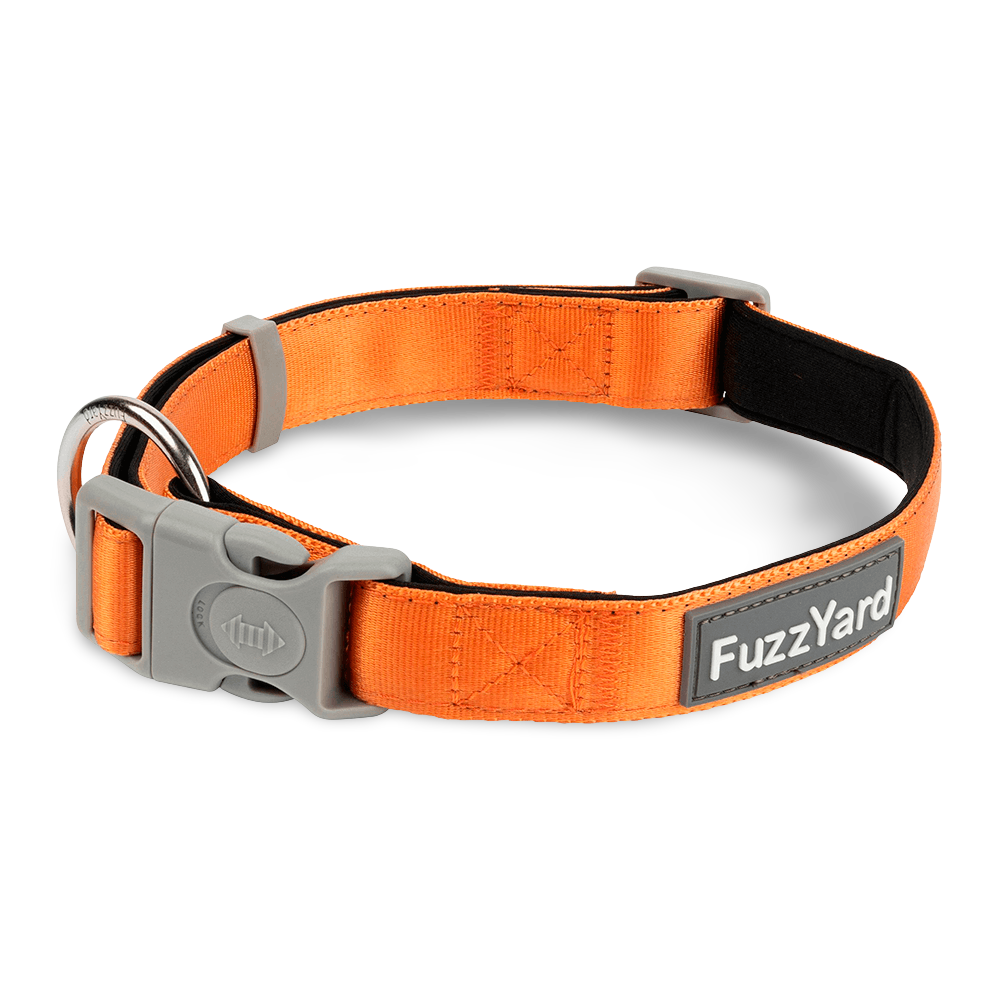 fuzzyard collars