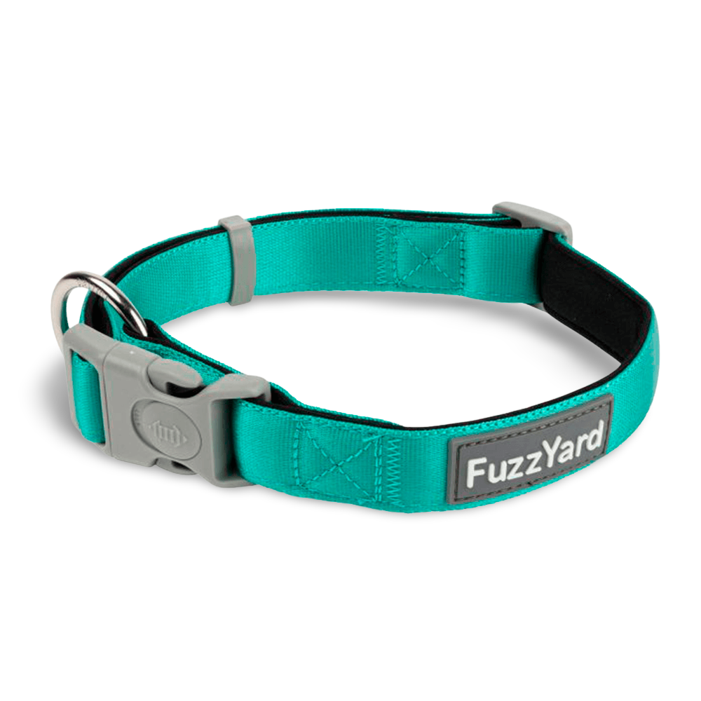 Buy Fuzzyard Dog Collar Lagoon Online Better Prices At Pet Circle