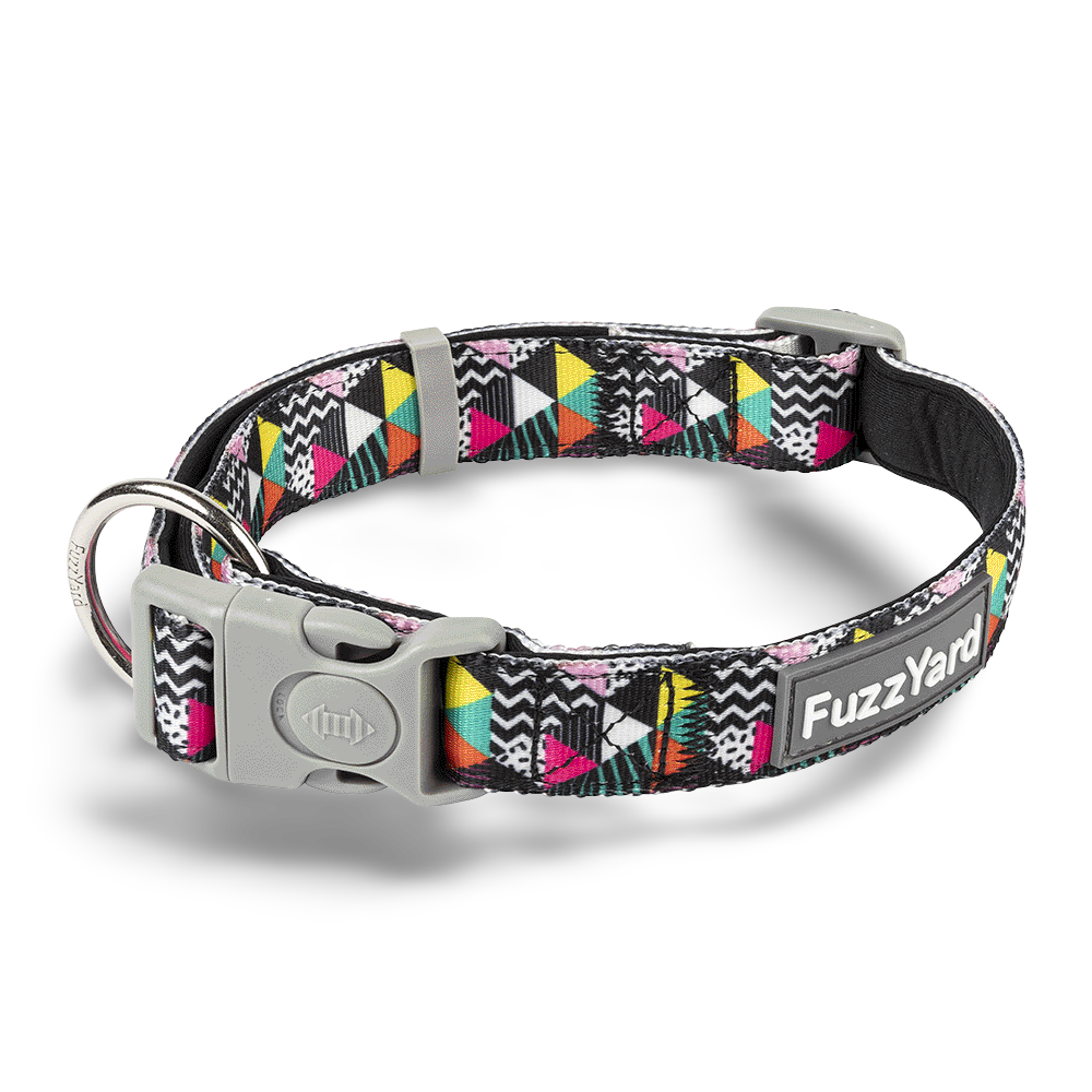 Buy Fuzzyard Dog Collar No Signal Online Better Prices At Pet Circle