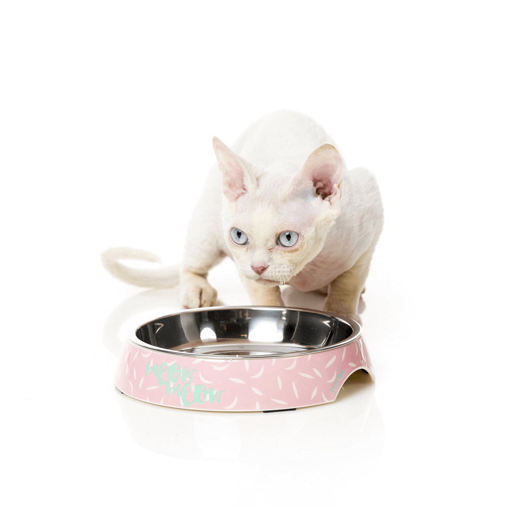 Buy Fuzzyard Featherstorm Cat Bowl Online Better Prices At Pet Circle