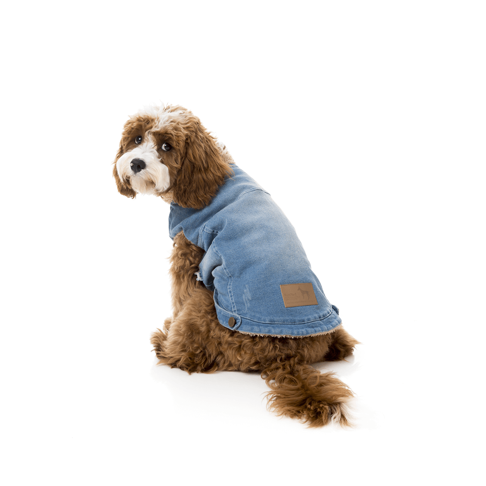 humane animal shelter