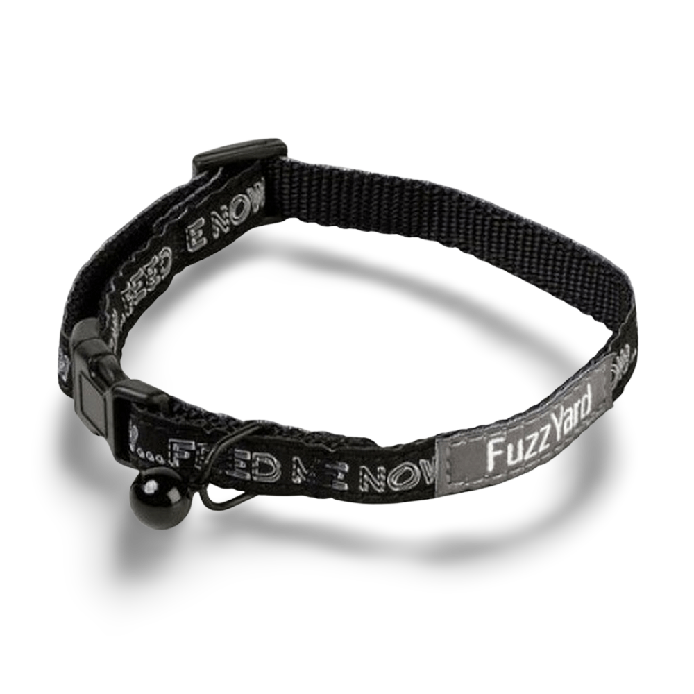 Buy Fuzzyard Kitten Collar Meow Meow Online Low Prices, Free Shipping