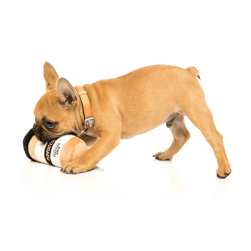 Buy Fuzzyard Plush Toy Take Away Coffee Online Better Prices At Pet