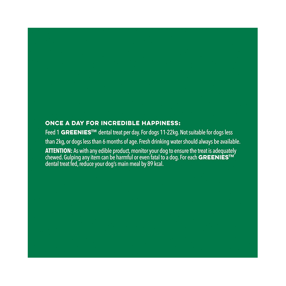 greenies blueberry regular