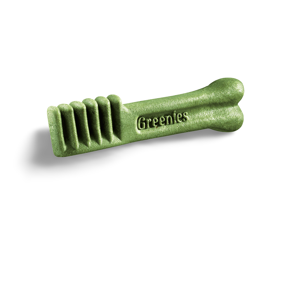 Buy Greenies Fresh Large Dog Dental Treats 8 Pieces Online Better