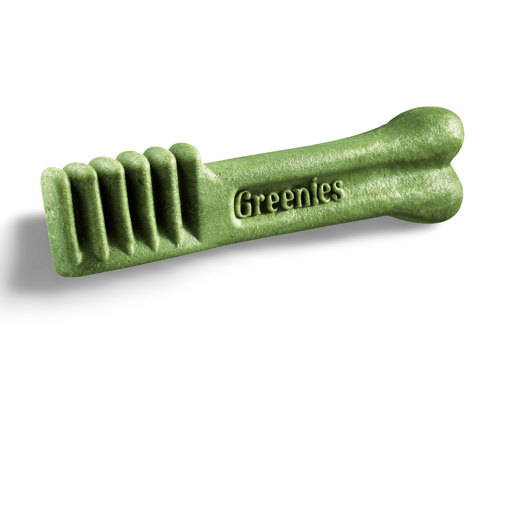 Who doesn't love free stuff! @greenies sent us some samples to give to you! We also have coupons. Grab one next time you're in